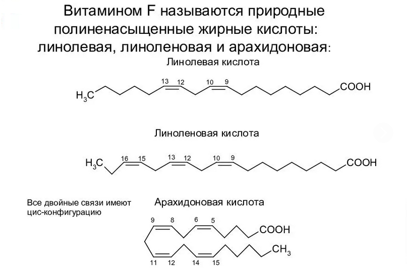 Витамин f