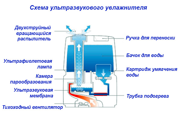 Схема устройства ультразвукового увлажнителя