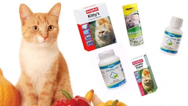Удобнее всего давать витамины котятам в форме капель в еду