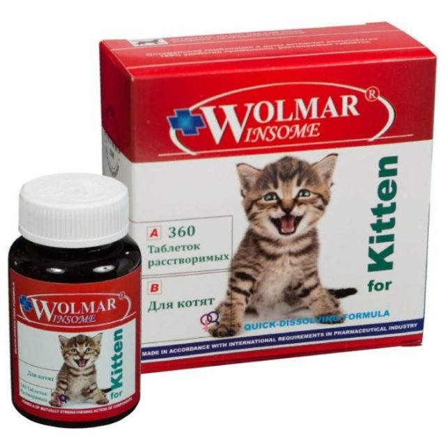 Wolmar Winsome for Kitten