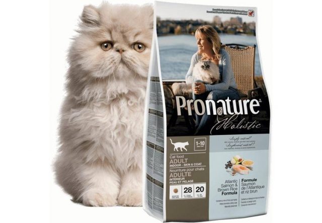 Pronature Holistic для котят